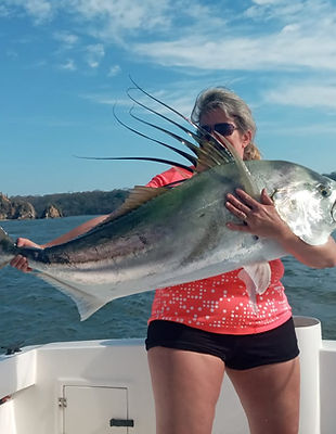 Roosterfish 5.jpg