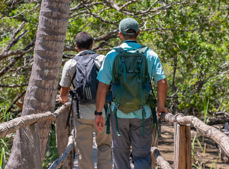 hiking.jpg