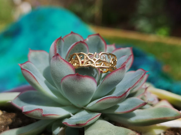 Thumbnail: Ring - Rooted Collection