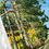 Thumbnail: Autumn Stroll