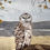 Thumbnail: barred owl painting