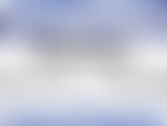 Dewey Dinner Auction Fundraiser