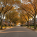 Real Estate in the Fall: What Buyers and Sellers Should Know