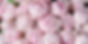 _DSC8856_edited.jpg