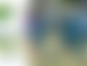 U9-12 Kangaroo, U13 & U14 MJL and  U10-12 Girls Bilby Gradings & U13 Girls MJL