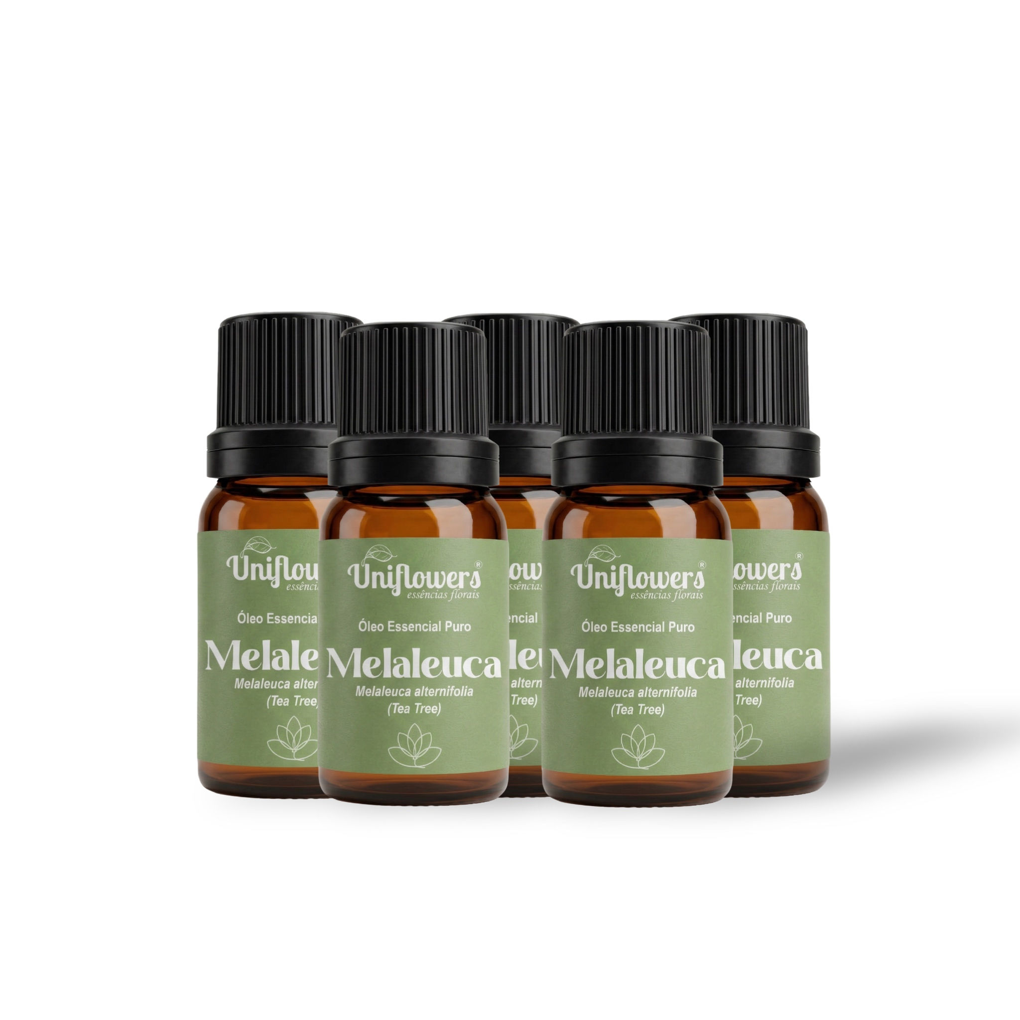 Kit 6 Óleos Essenciais Melaleuca