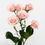 Miniatura: Pink Majolika