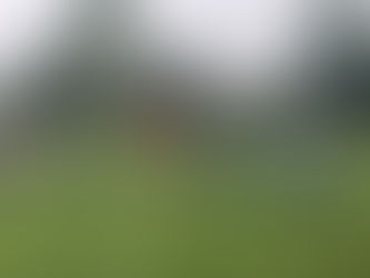 Hohe Ergebnisse im Nachwuchsbereich