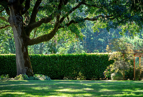 NG Special Event Flyers- Karen.png