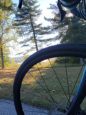 TdR-11 copy_edited.png