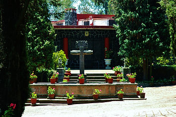 Bosque La Divina Providencia