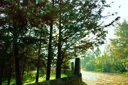 Bosque de La Divina Providencia