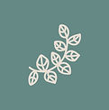 Custom Local logo to show Turbulents commitment to local ingredients