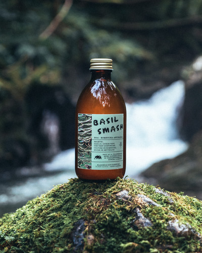 elfbar nachfüll pod läuft aus Recette Basil Smash main image 0
