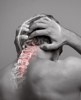 Neck and head pain, skull and spine bone