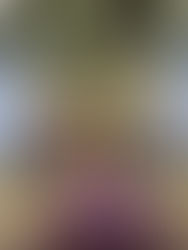 Thank You Fan Expo Vancouver ✨