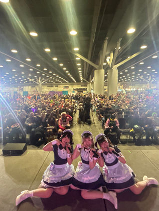 Thank You Fan Expo Vancouver ✨