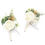 Thumbnail: Ivory Boutonniere
