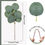 Thumbnail: Eucalyptus Leaves Picks