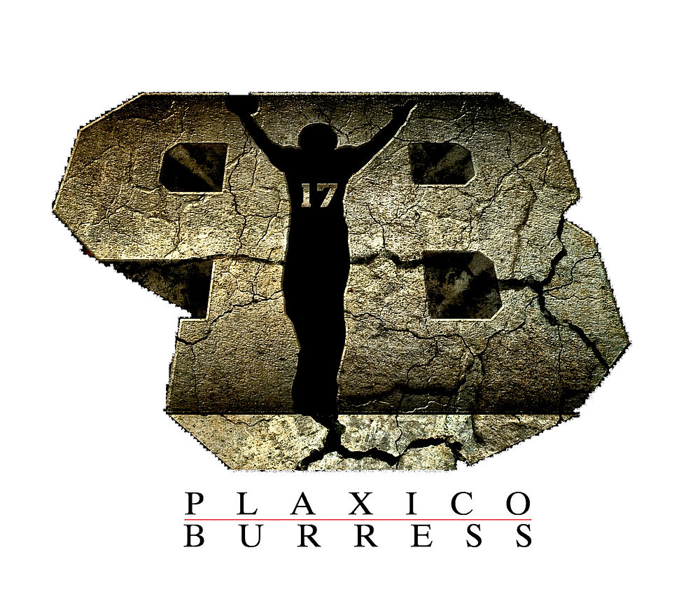 PB_LOGO_FOR3D_FINAL