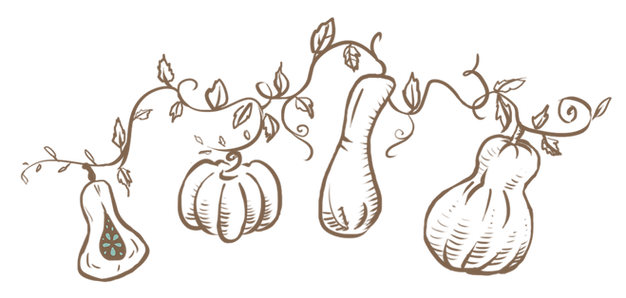 illustration only.png