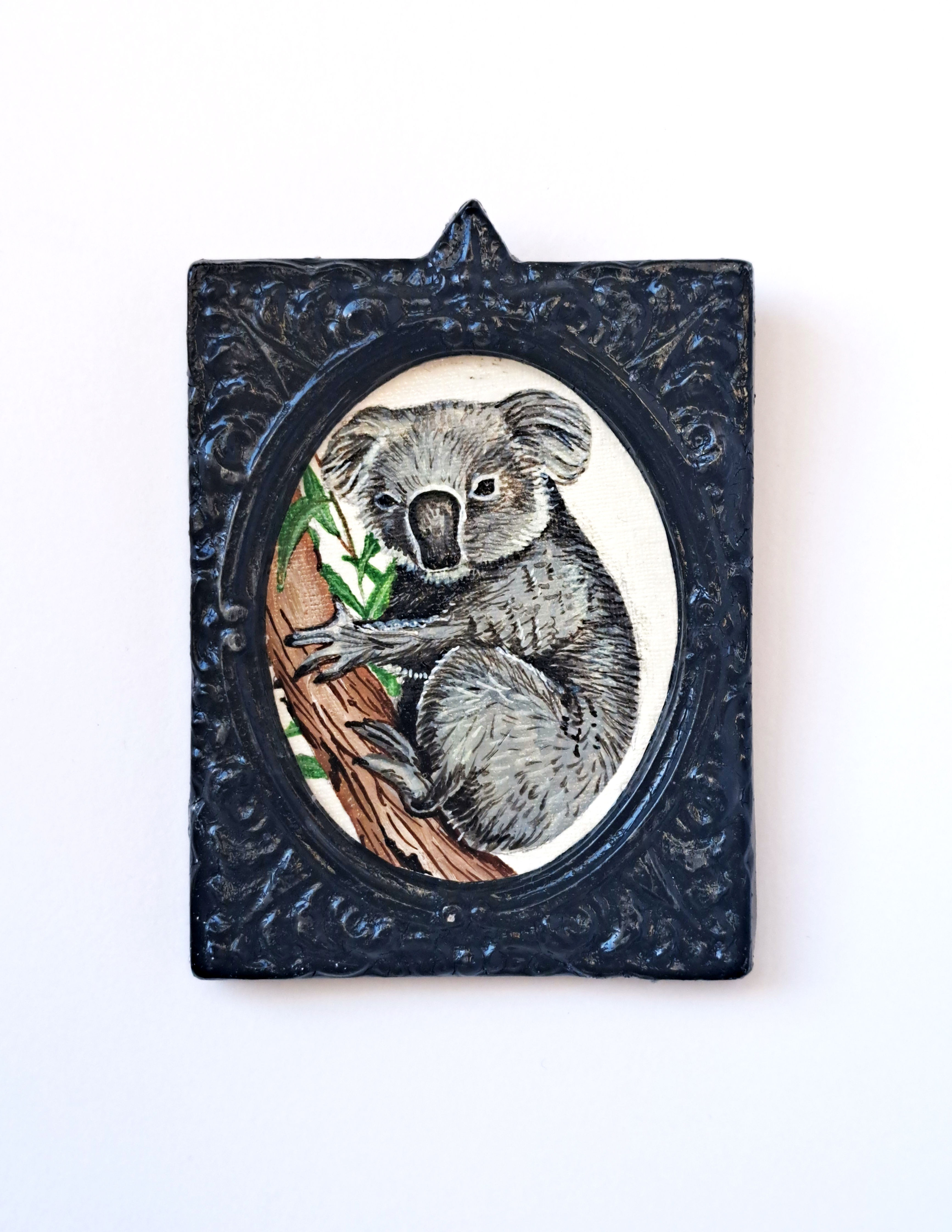 Koala, part of framed animal miniature series "festum animalium"