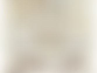 Lambs of Love Nursery Came Early