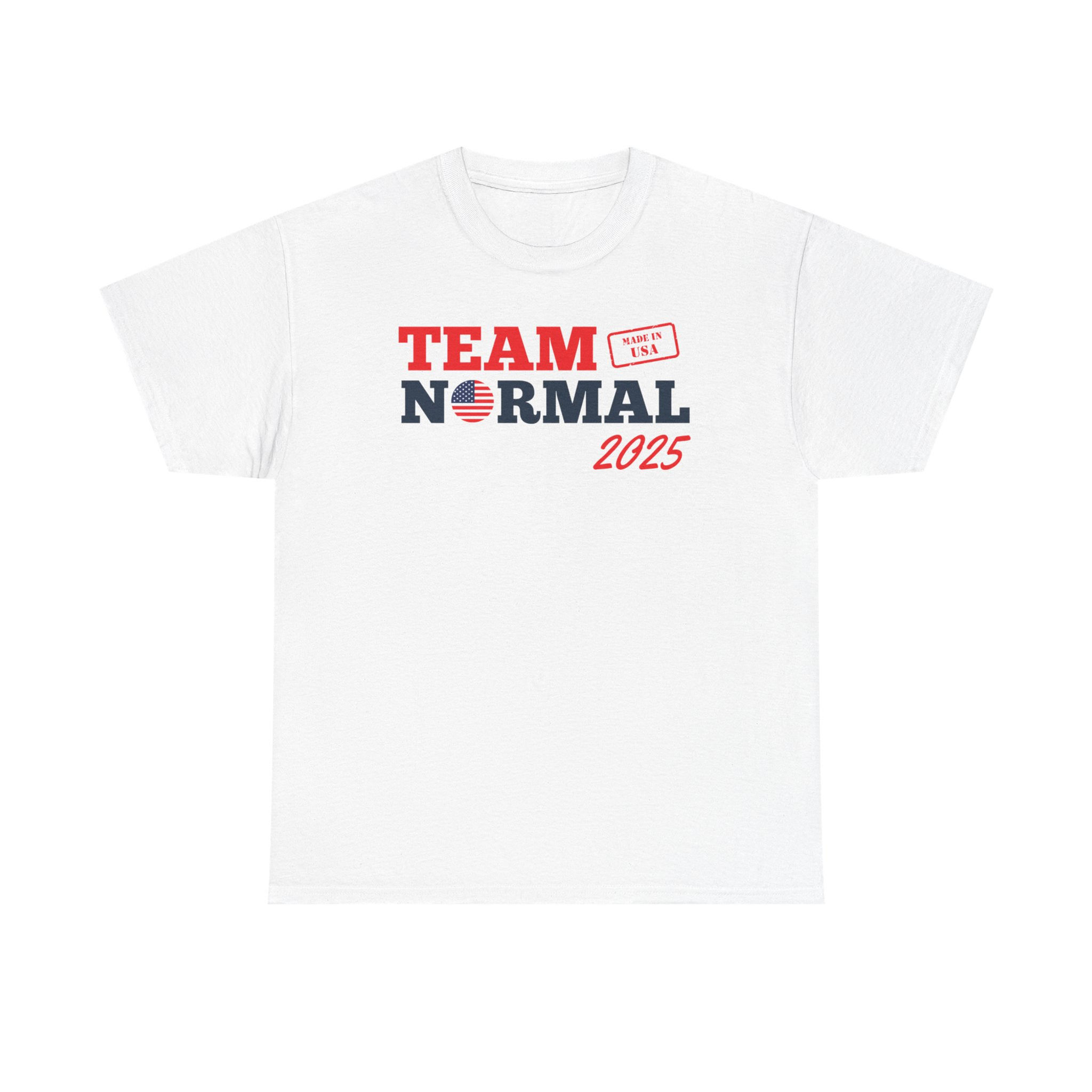 Team Normal 2025 | Unisex Heavy Cotton Tee