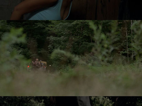 Wrong Turn 6 Full Movie In Hindi Free Download Tamisash