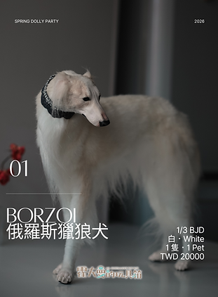 2026_S_sofia_product_2.png