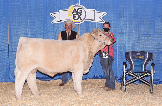 JMB Diesel Son 111J Reserve Bull Calf Champion.jpg