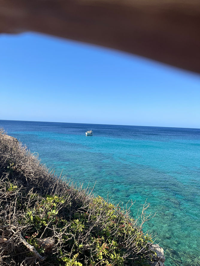 IMG_7221.JPEG