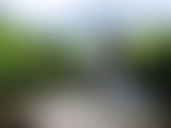 Pretendiendo lo imposible: Fuente de agua dulce y salada