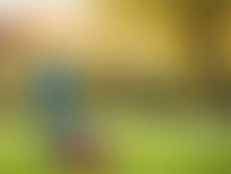 30 Life Lessons - Lawn Mowing