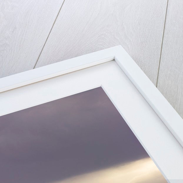 Thumbnail: GRAPHIC BIRDS