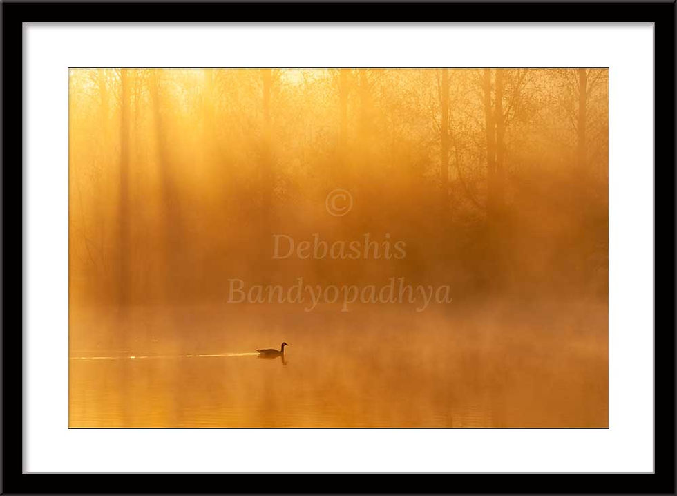 Thumbnail: LITTLE YET FULL OF LIGHT