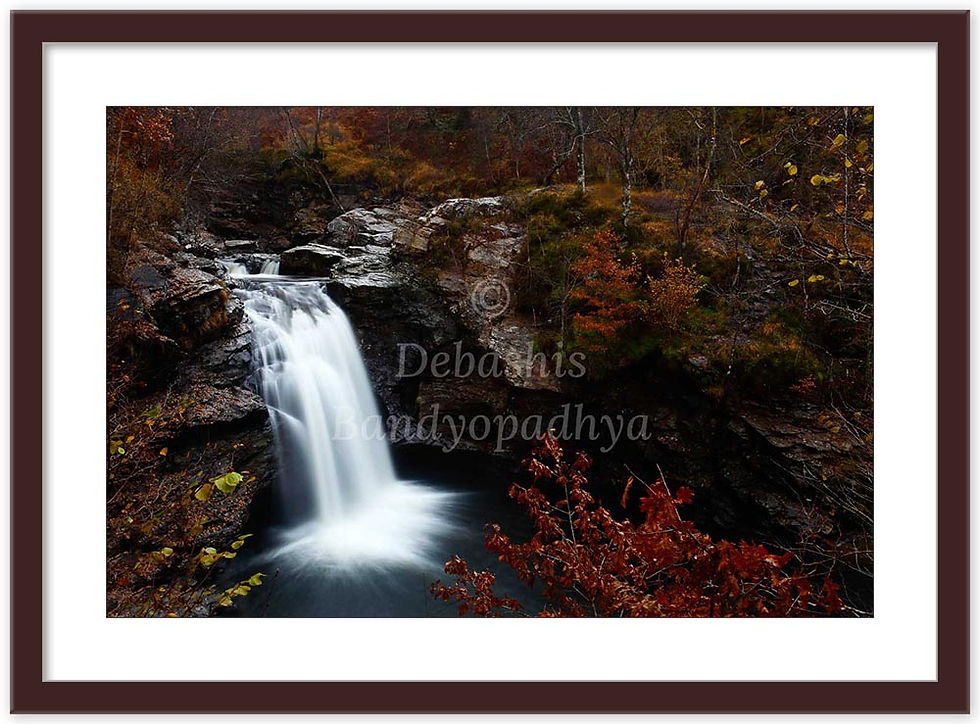 Thumbnail: FALLS IN THE FALL
