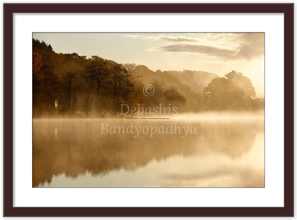 Thumbnail: A MISTY SUNRISE