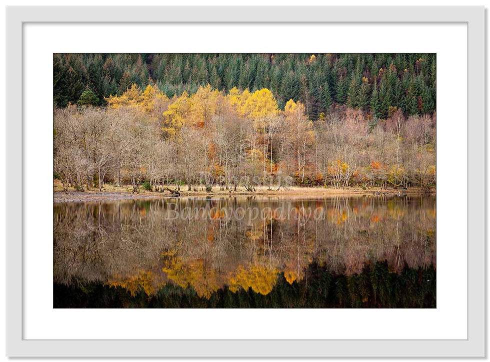 Thumbnail: LOCH LUBNAIG REFLECTION