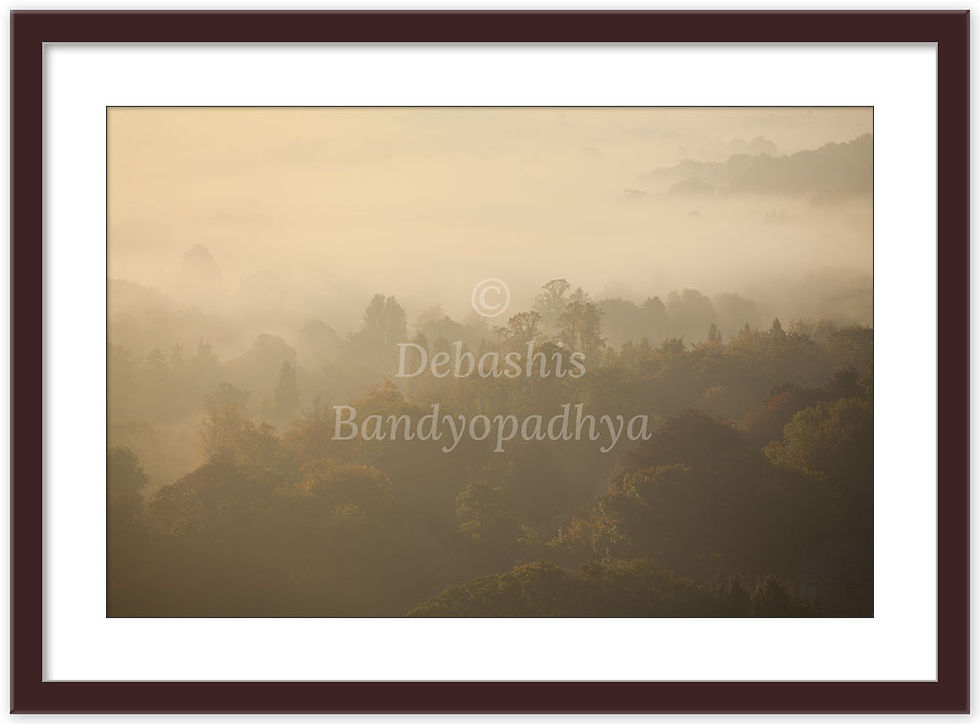 Thumbnail: MIST OVER GORING GAP, OXFORDSHIRE, UK