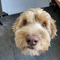 Lil DayCare Client 118.jpg