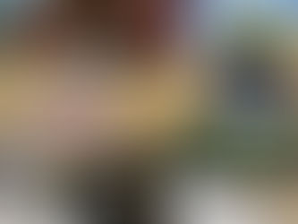 Landscaping & Driveway Design: 10 Ideas to Boost Your Curb Appeal