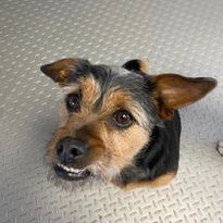 Lil DayCare Client 111.jpg