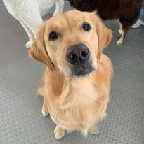 Lil DayCare Client 123.jpg