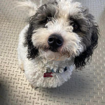 Lil DayCare Client 130.jpg