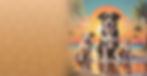 Pets in recovery Banner.jpg