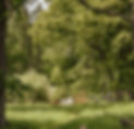 image00012.jpeg