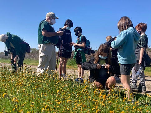 IMG_2330 (1)_THIS ONE.jpg