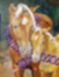 Quarter Horse Journal