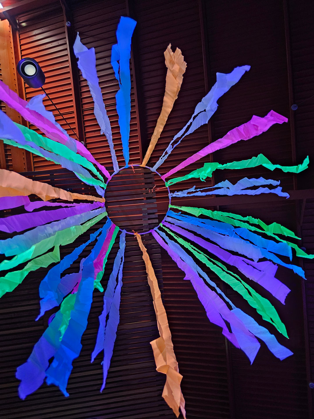 UV Blacklight